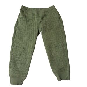 🔆3/$20🔆 Nike Green therma-fit double sided Textured Jogger Pants